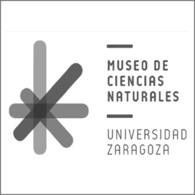 Logo Museo Ciencias Naturales Universidad Zaragoza